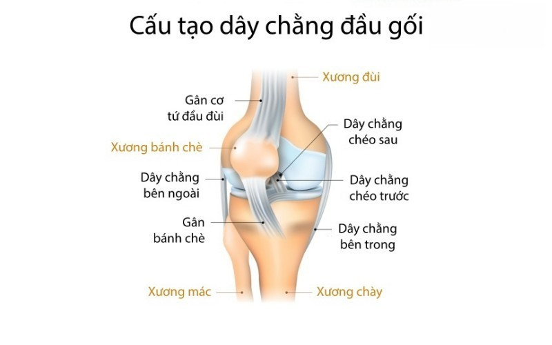 chấn thương liên quan đến dây chằng, gân