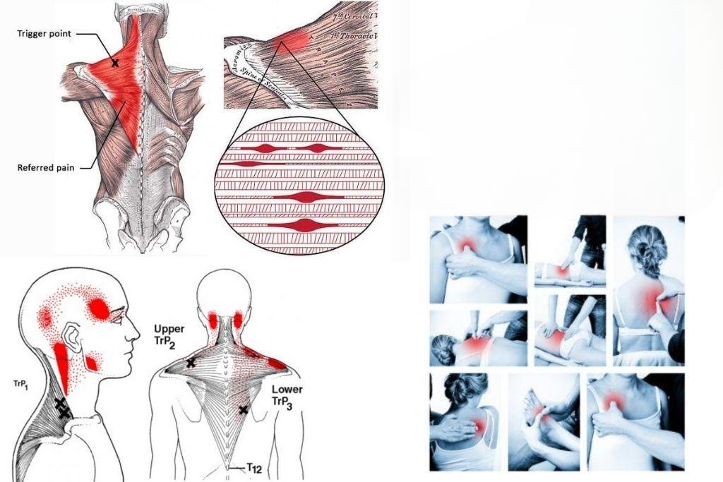 phương pháp atpt là phương pháp độc quyền tại scc