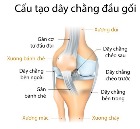 chấn thương dây chằng đầu gối thường gặp