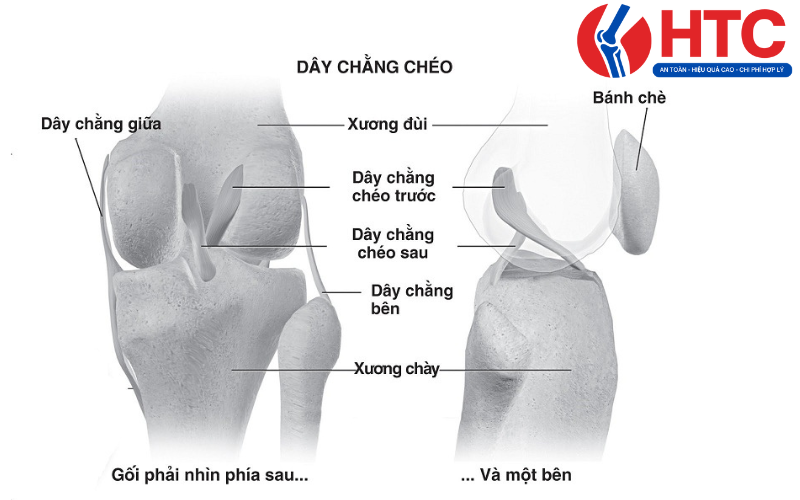 đầu gối có tiếng lạo xạo