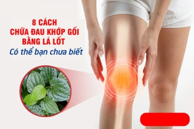 cách chữa đau khớp gối bằng lá lốt