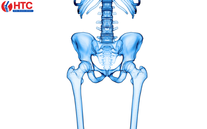 đau háng khi chơi tennis