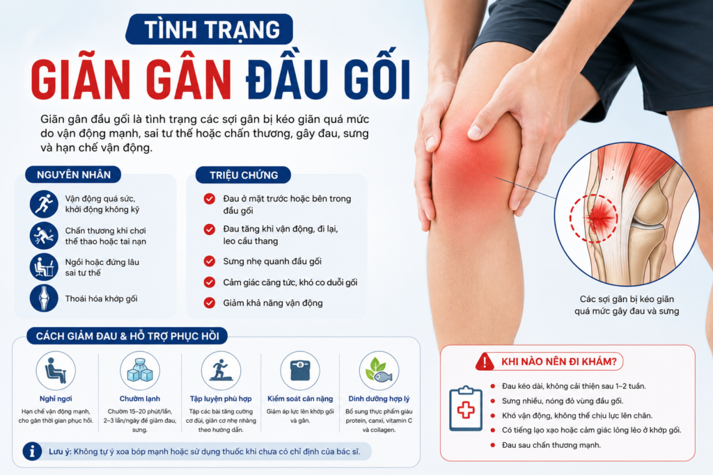 Tình Trạng Giãn Gân Đầu Gối: Nguyên Nhân, Triệu Chứng Và Cách Phục Hồi