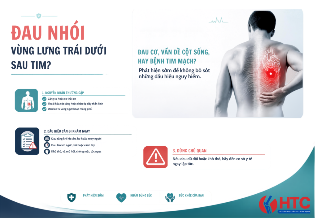 Đau Nhói Sau Lưng Bên Trái Sau Tim Là Bệnh Gì?