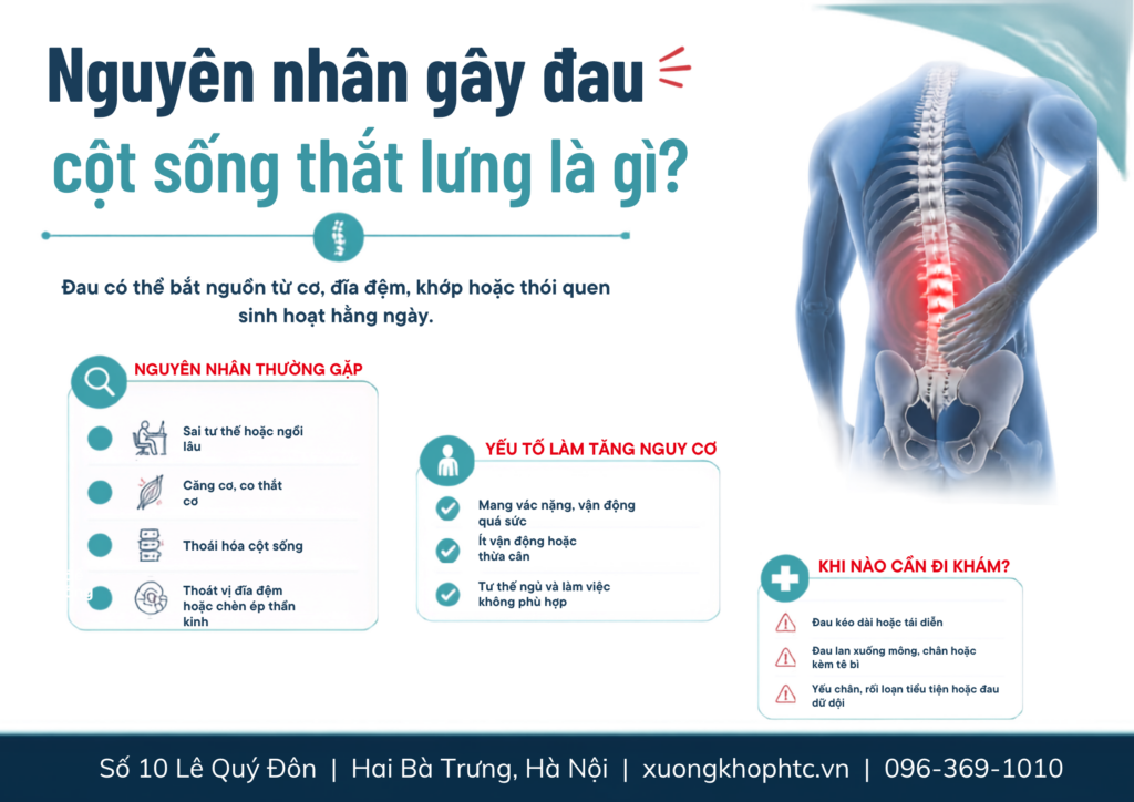Nguyên nhân gây đau cột sống thắt lưng là gì?